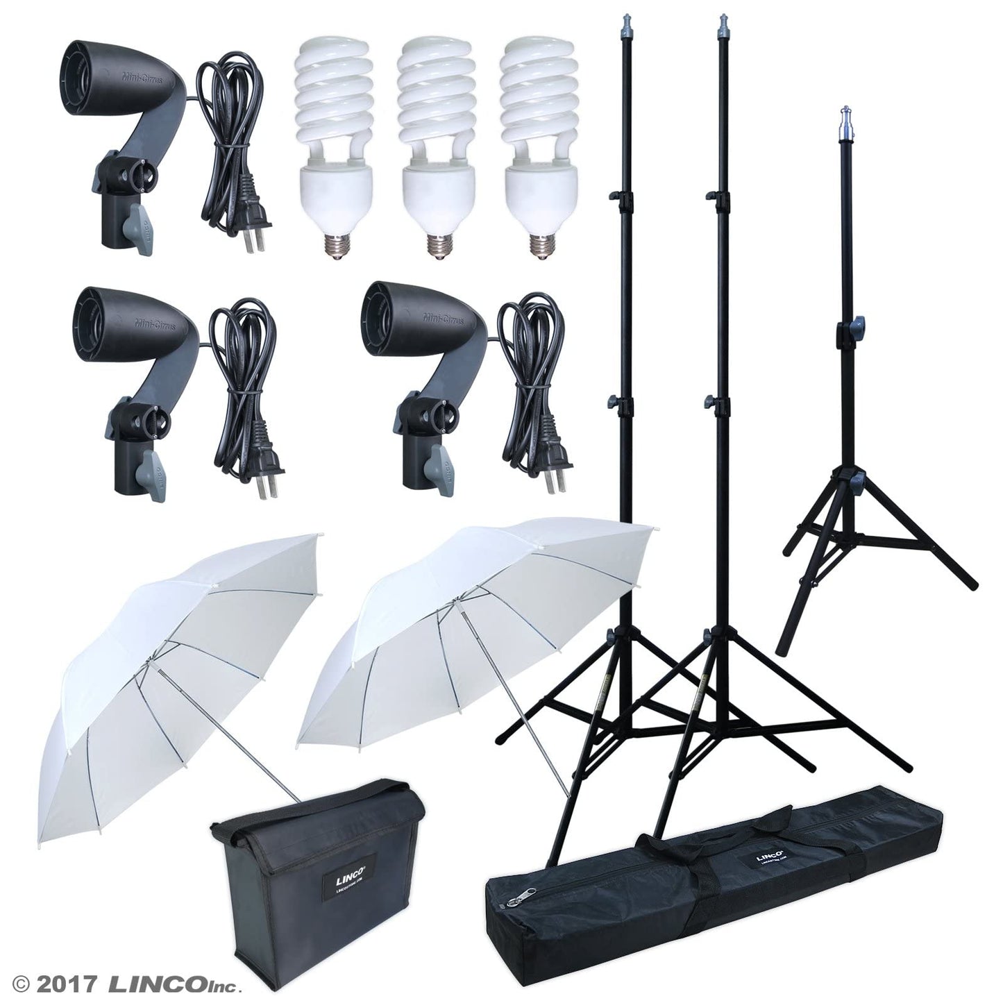 LINCO Lincostore 600W Photography Photo Video Portrait Studio Day Light Umbrella Continuous Lighting Kit AM153