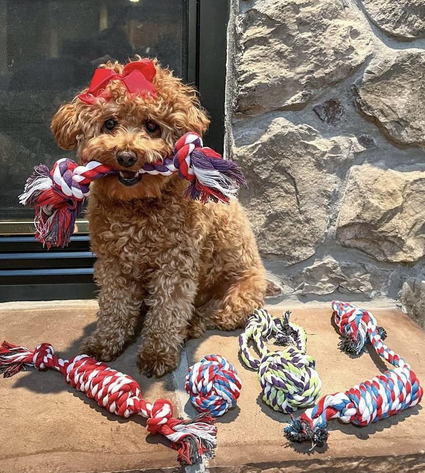 Juguetes de cuerda para perros pequeños y medianos – Beneficios de rescate de perros no profit – Juguetes para perros masticables para razas pequeñas y medianas – Juguetes de algodón para el aburrimiento