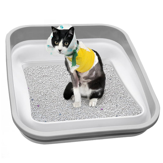Maohegou Caja de arena para gatos mayores, artríticos, enfermos y frágiles discapacitados, baja entrada, caja de arena abierta para gatos mayores (un paquete)