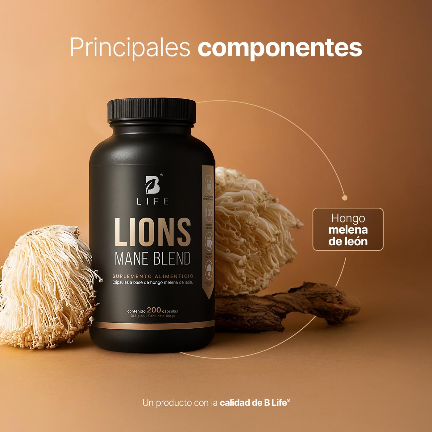 B Life Hongo Melena de León Puro | 200 Cápsulas | 1000 mg por porción | Ingredientes naturales | Lions Mane Blend.