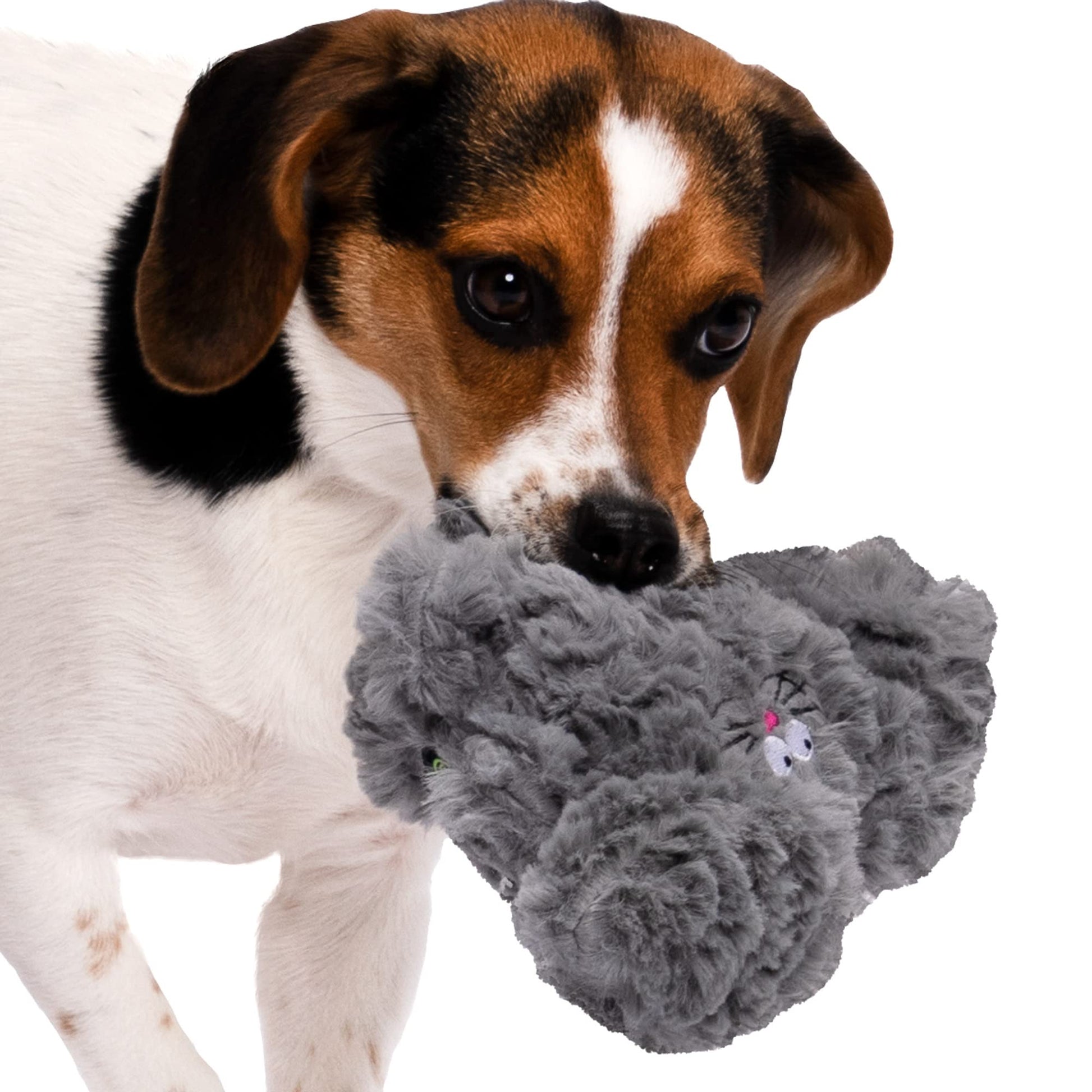 goDog PlayClean - Juguete de Peluche chirriante para Perro con aceites Esenciales Que eliminan el Olor, tecnología de protección para Masticar, Gris, pequeño