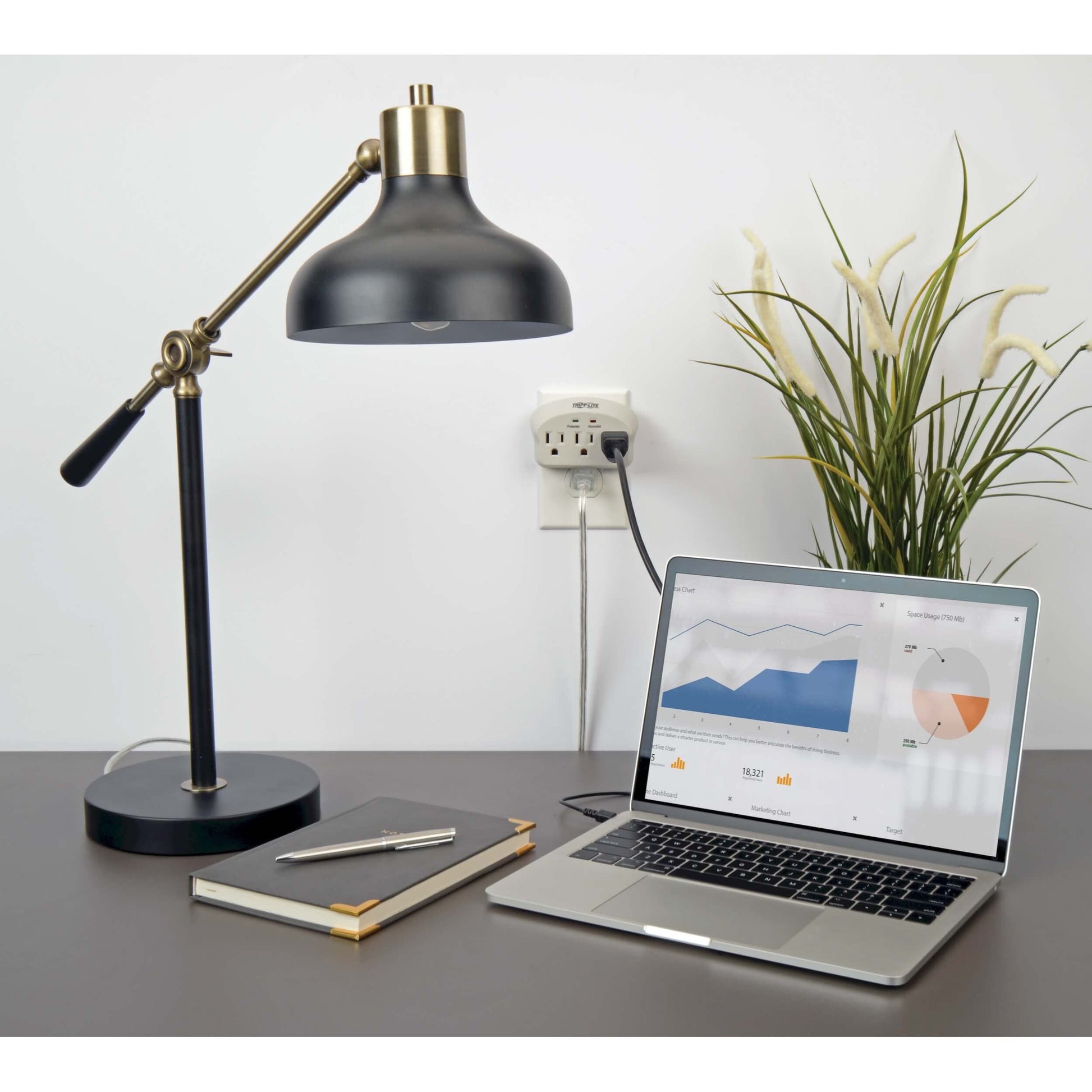 Supresor de Sobretensiones Tripp Lite Blanco 660 Joules 3 Tomacorrientes