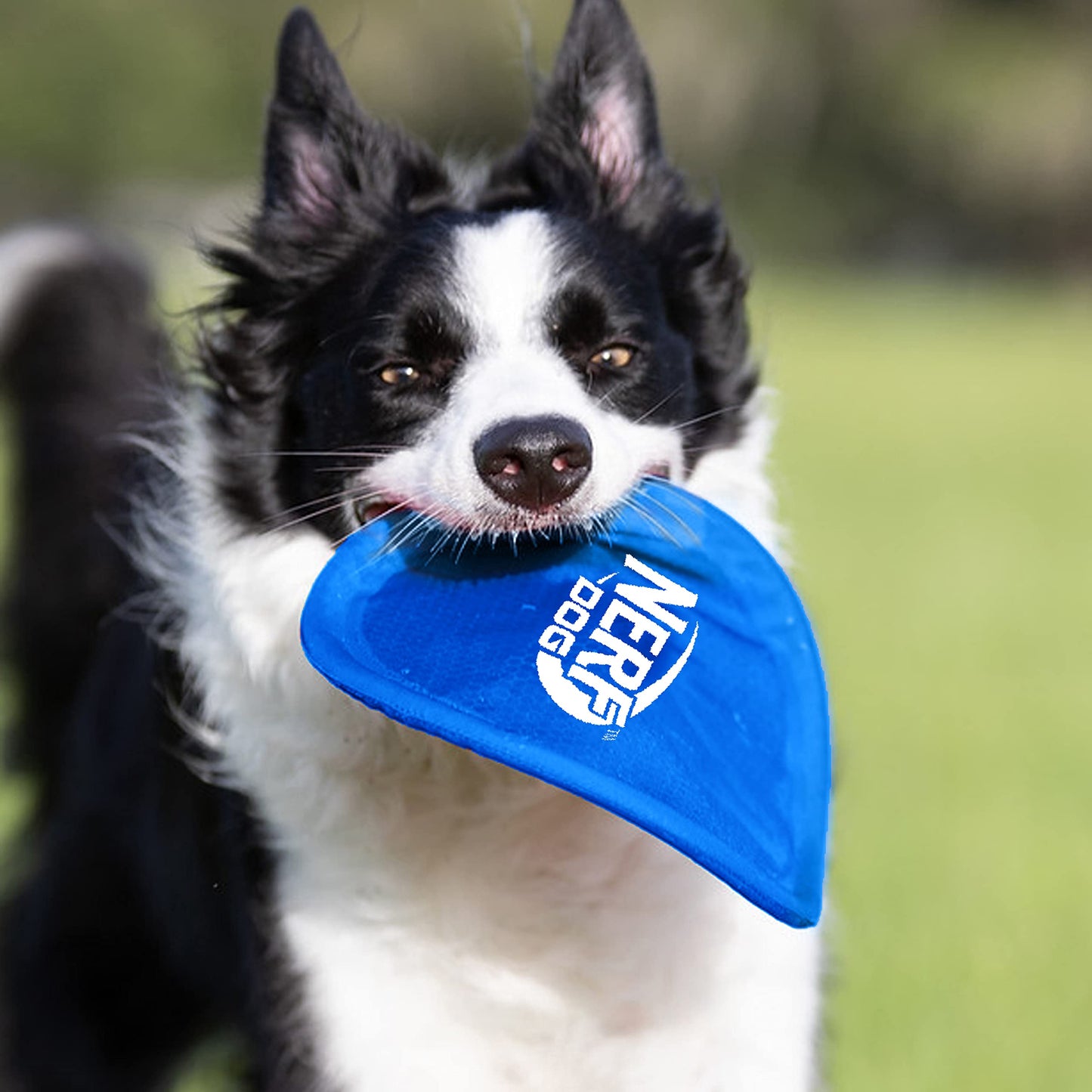 Juguete para Perro Nerf Dog Azul de Nailon Resistente al Agua y Durable Frisbee 9 Pulgadas para Razas Medias/Grandes
