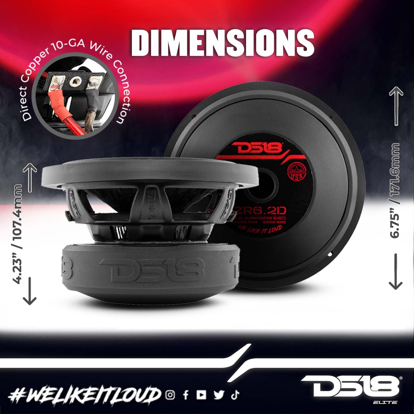 DS18 Elite-Z ZR6.2D - Subwoofer de Coche de 6.5 Pulgadas de 600 vatios de Potencia máxima Doble Bobina de Voz de 2 ohmios de fácil Montaje, Graves de Alto Rendimiento para el Sistema de Sonido de tu