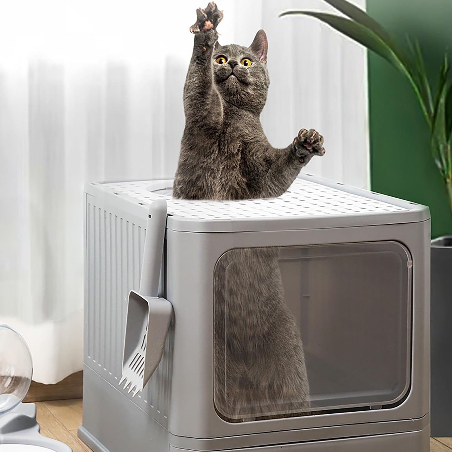 Arenero Plegable TXG Gris Oscuro con Cajón para Gato Grande hasta 12,5 kg