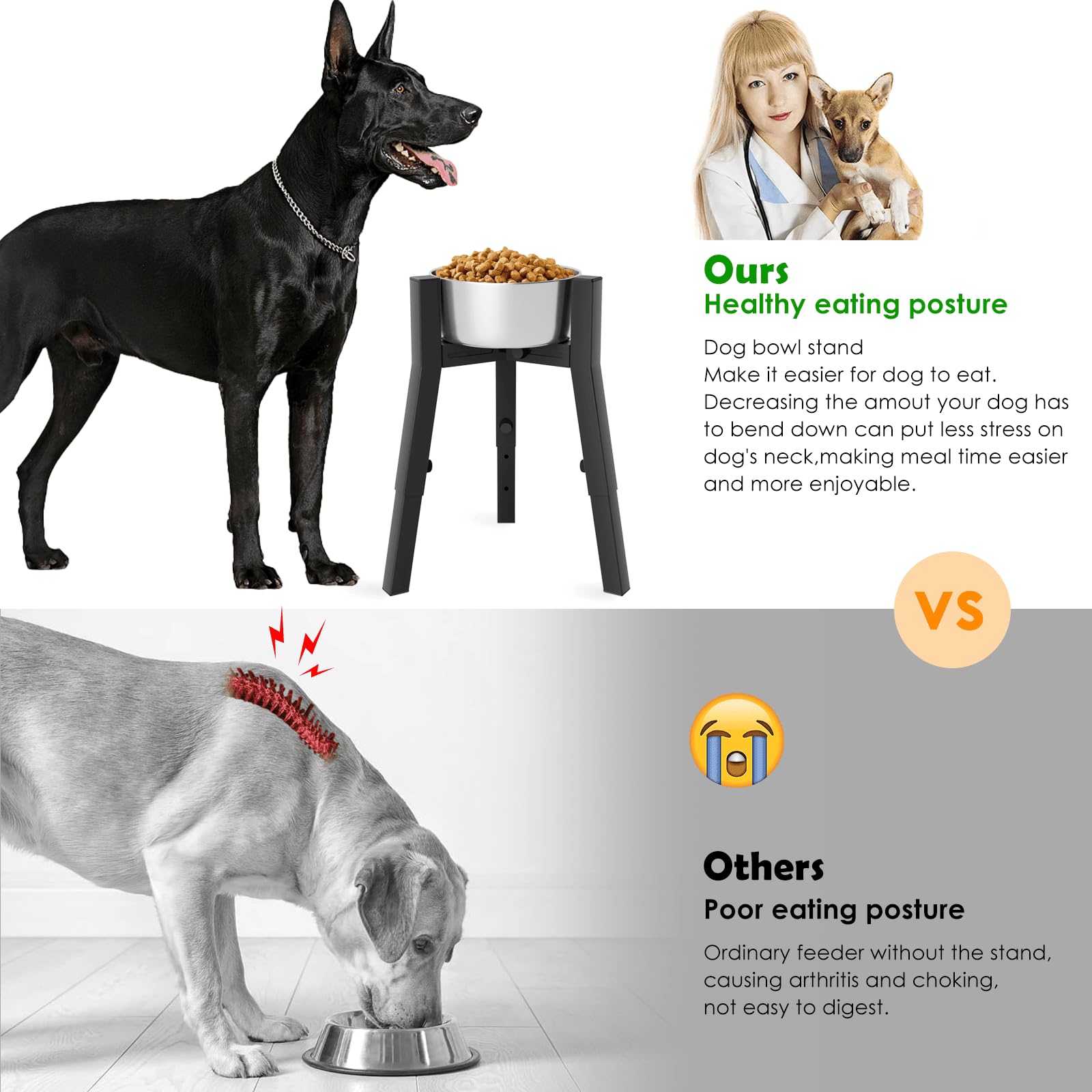Soporte para Cuencos TIDANT Negro Ajustable para Perros Grandes