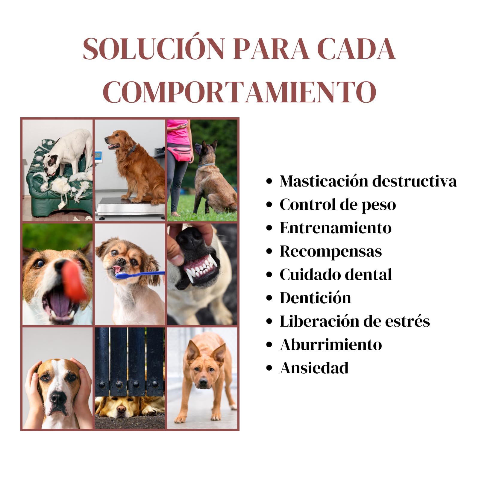 Genérico Juguetes para Perros Fuertes y agresivos Juguetes para Perros destructores Hueso para masticadores agresivos Juguetes para aliviar ansiedad de Perros Juguetes para Perros ansiosos Grandes