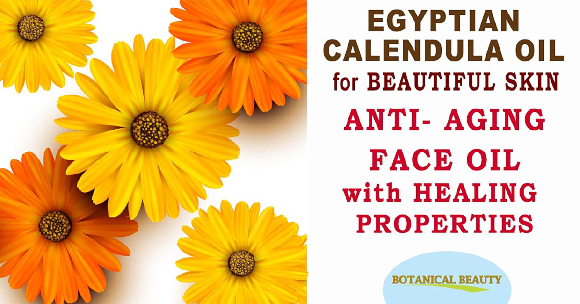 CALENDULA OIL Egyptian Calendula Officinalis Marigold Oil 100% Pure Natural for Face, Skin, Body, Hair, Nail Care 1 Fl.oz.- 30 ml Skin Moisturiser, Antioxidant Serum by