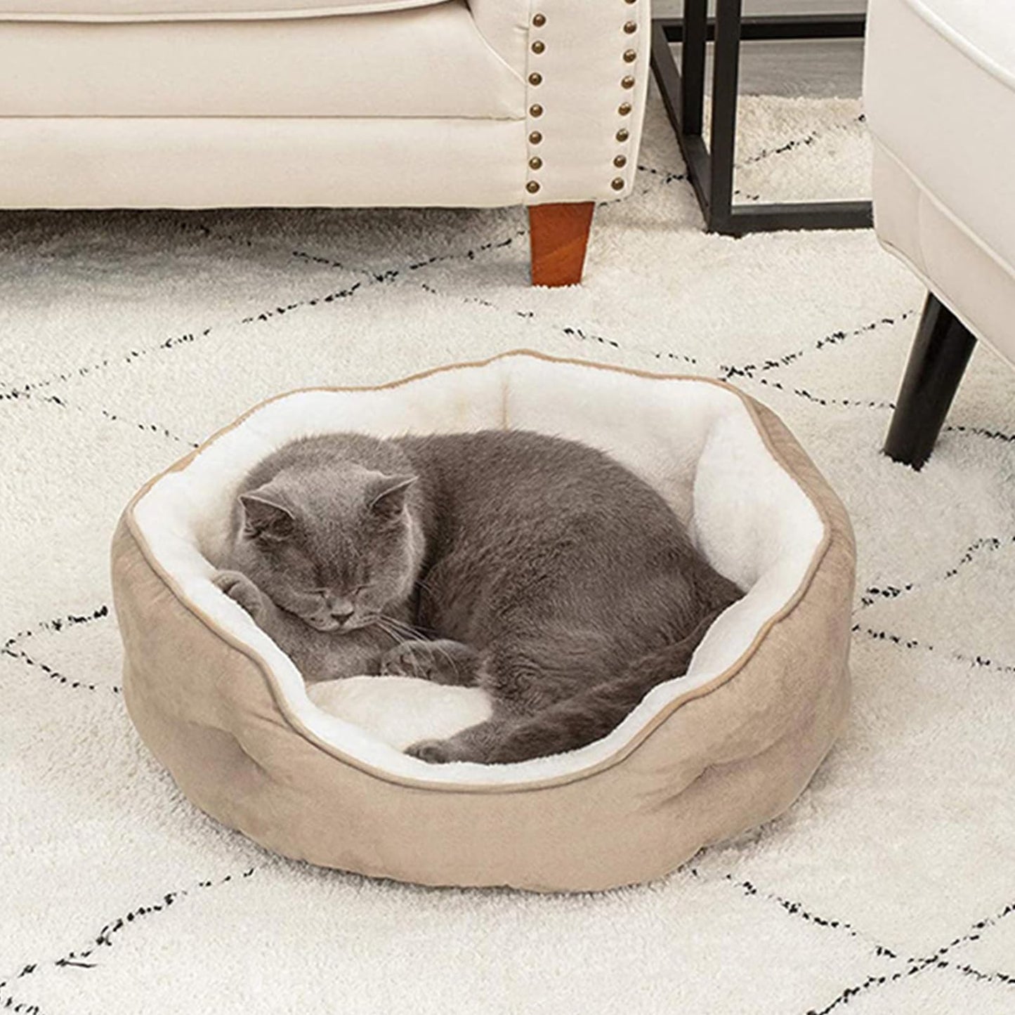 Cama OPUEW Caqui Antideslizante Terciopelo Comodidad para Perros y Gatos Pequeños