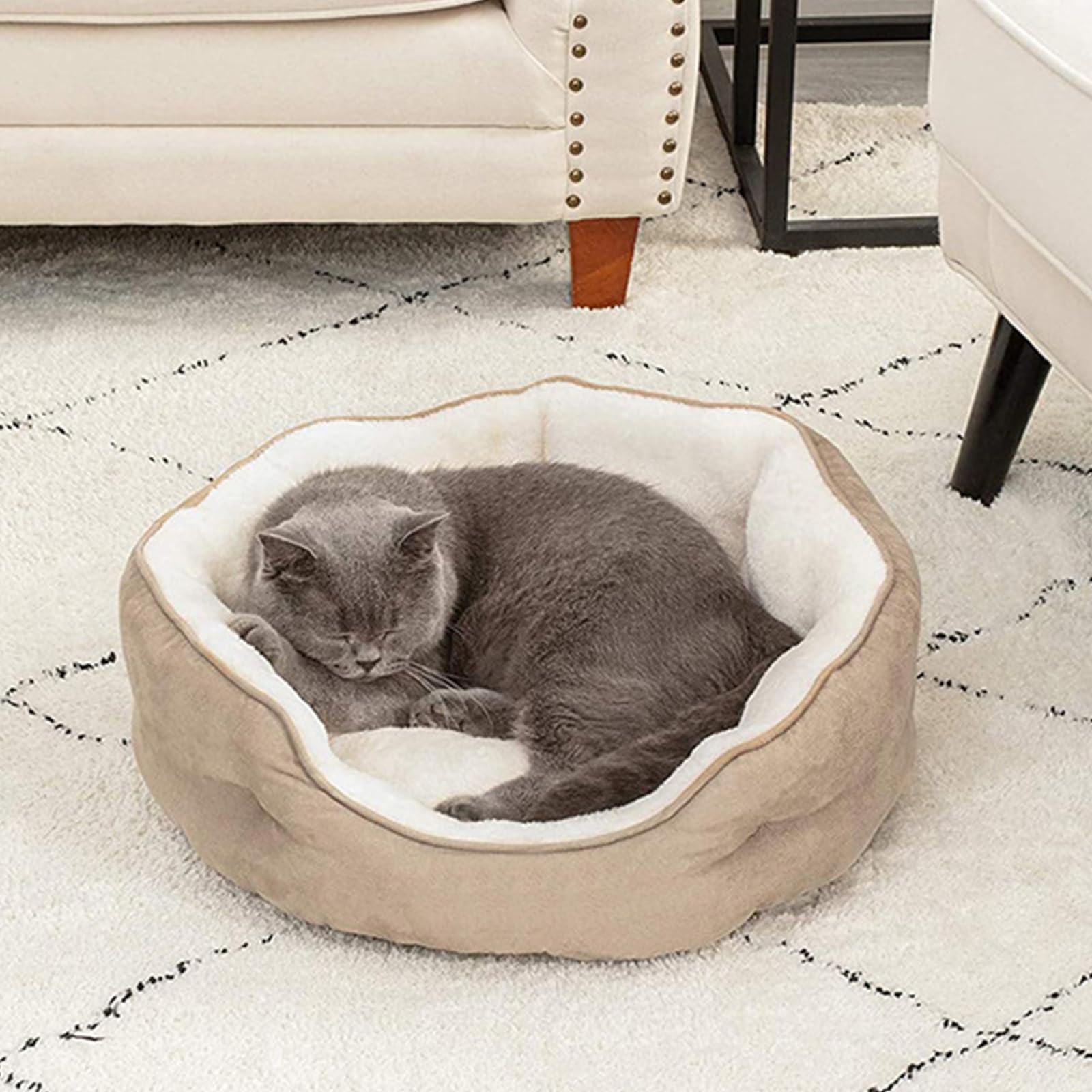 Cama OPUEW Caqui Antideslizante Terciopelo Comodidad para Perros y Gatos Pequeños