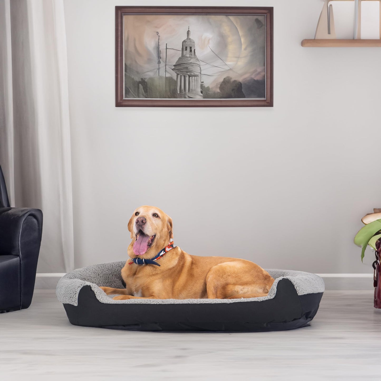 Cama para Perro Pets Apparel Hills Negra con Forro Acolchonado X-Large