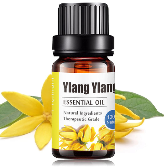 Aceites Esenciales Ylang Ylang Natural UVa Natural Conjunto de Difusores y Humidificadores 10 ML con Caja de Regalo