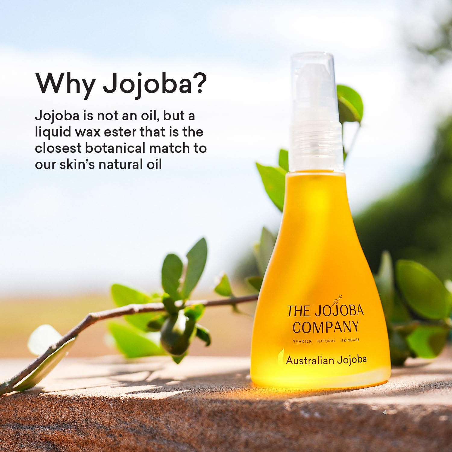 Jojoba by The Jojoba Company 100% natural de jojoba australiana, 85 ml