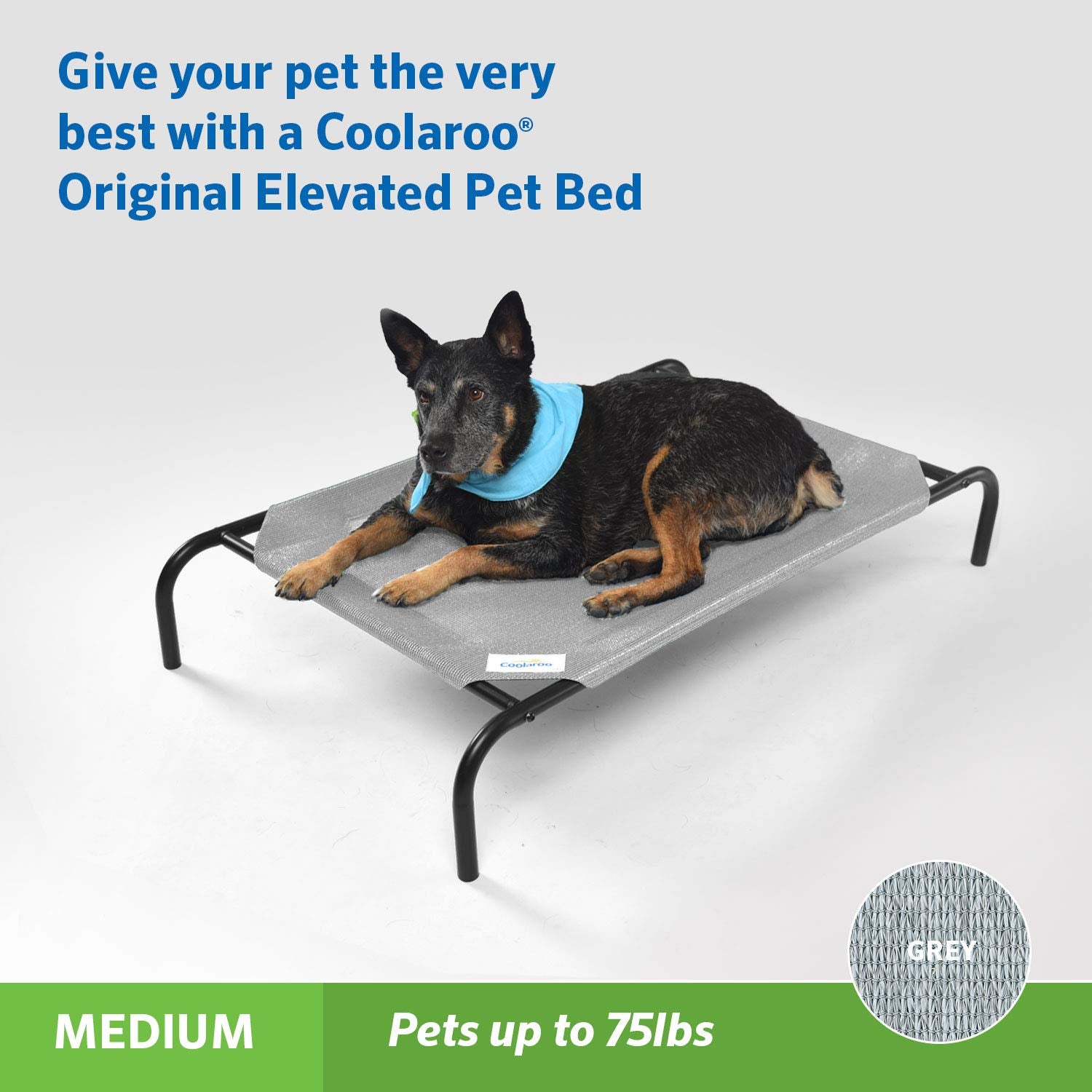 Coolaroo - Cama elevada para Mascotas