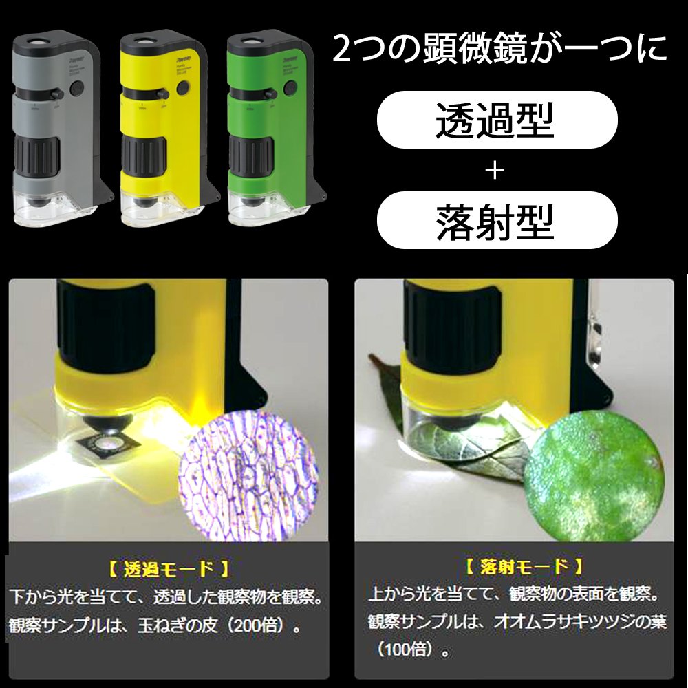 Microscopio Raymay Fujii DX gris práctico