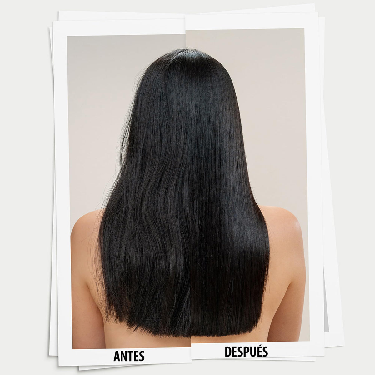 Davines OI Shampoo | Shampoo antioxidante para suavidad extrema | 280 ml