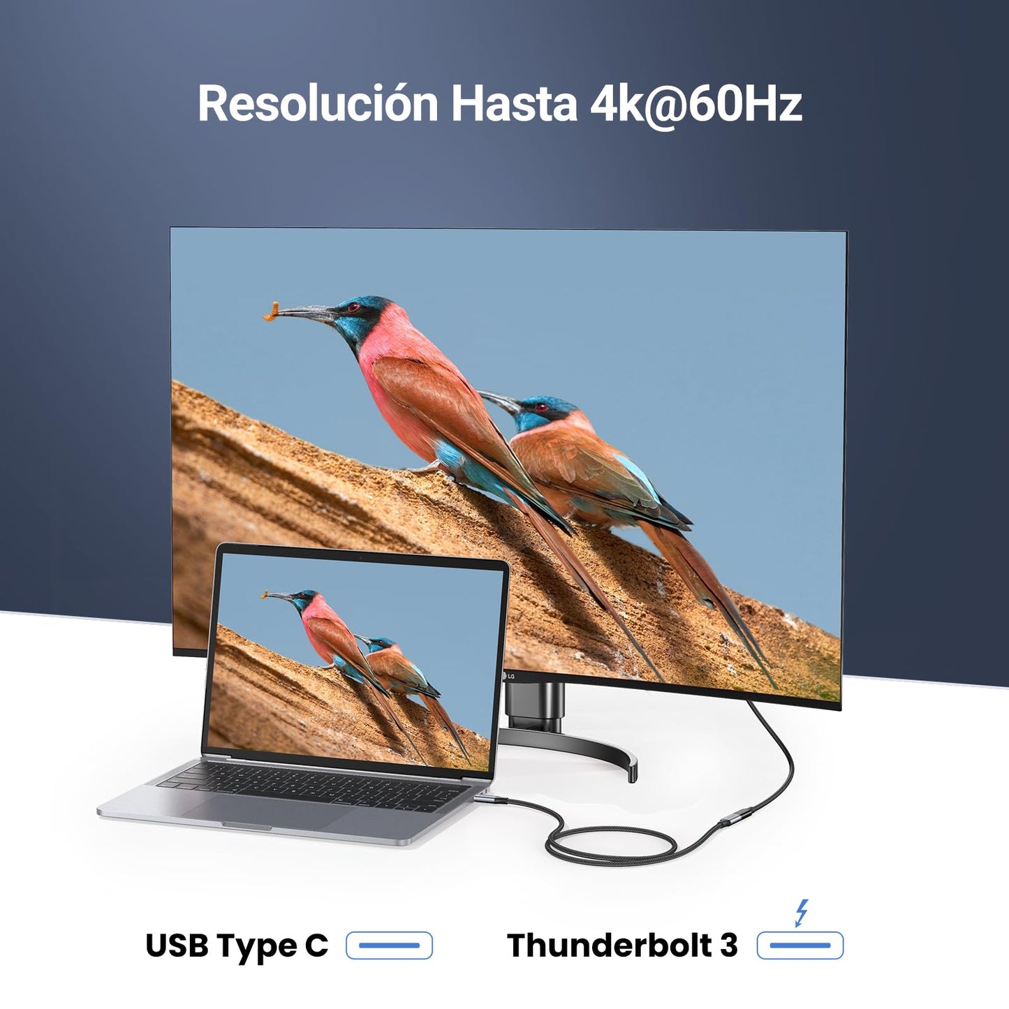 Cable de Extensión USB C UGREEN 1M Negro 3.1 Gen 2 10Gbps para Video 4K 60Hz y Carga Rápida 100W