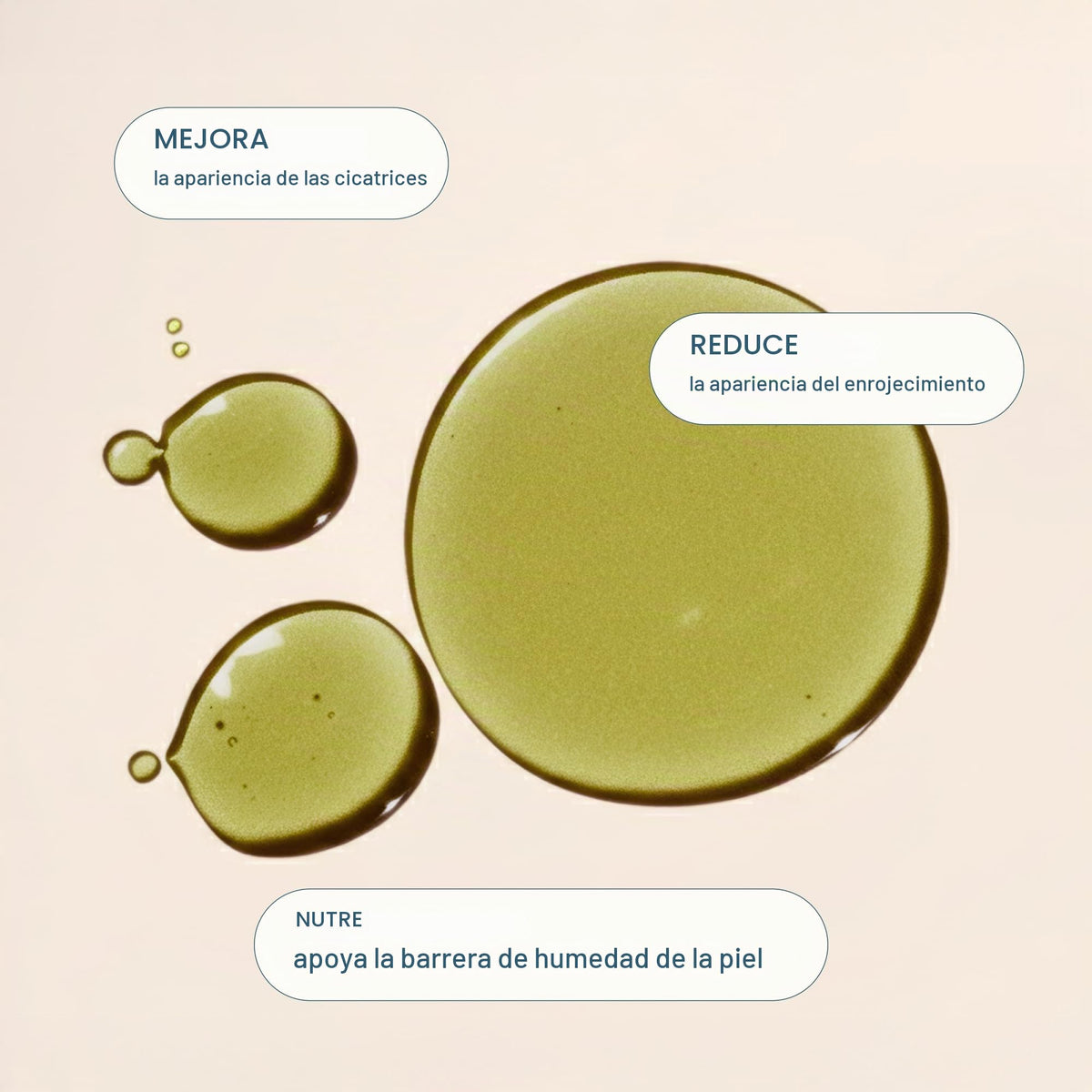 Cliganic Aceite de Tamanu Orgánico Prensado en Frío y Sin Refinar 60 ml
