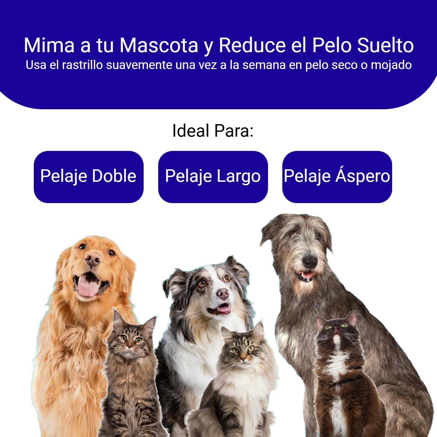 BPETZ Rastrillo Deslanador y Cepillo para Perros y Gatos, Herramienta Premium Antimuda para Estilizado, Reducción de Pelo Suelto, Desenredado, Anti-Nudos y Masaje, Ideal para Pelajes Largos, Doble y Ásperos