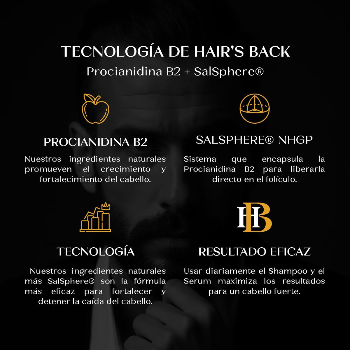 Serum Capilar Fortificante HAIR’S BACK 50ml Tratamiento Para Cabello Maltratado Con Aceite