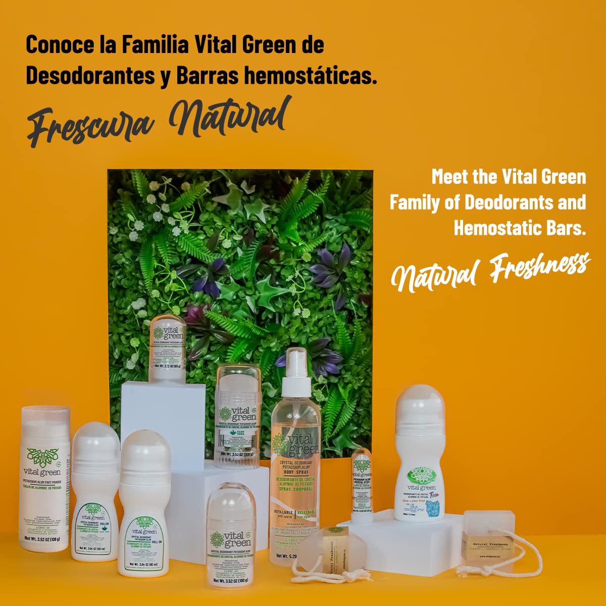 Vital Green - Desodorante Natural de Piedra Cristal de Alumbre de Potasio con Aloe Vera. Ideal Para Piel Sensible. Elimina El Olor y No Mancha. Presentación roll on 90 g - 3 fl oz (1 Unidad)