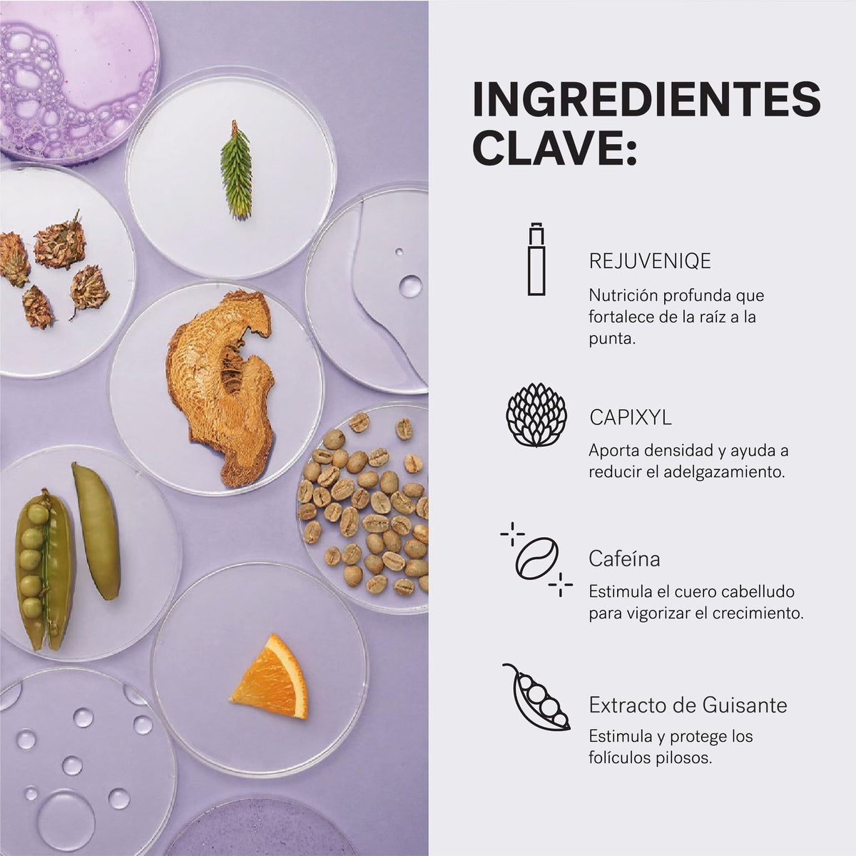 MONAT IR Clinical Thickening Conditioner – Acondicionador Vegano para Cabello Fino o con Menor Densidad con Romero y Menta – Fórmula Nutritiva y Voluminizadora para un Cabello con Apariencia de Mayor Grosor y Volumen