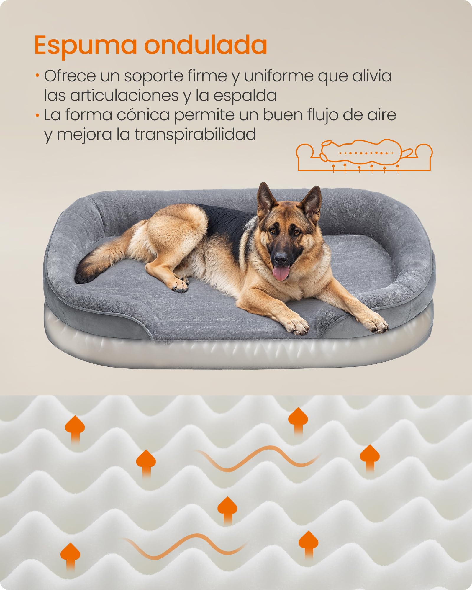 Cama para Perros Feandrea Gris Claro con Forro Repelente al Agua y Funda Extraíble