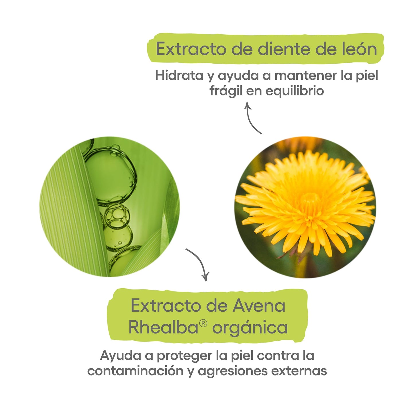 ADERMA, Biology Espuma Limpiadora Hidratante Facial con Ingredientes Naturales, 150ml