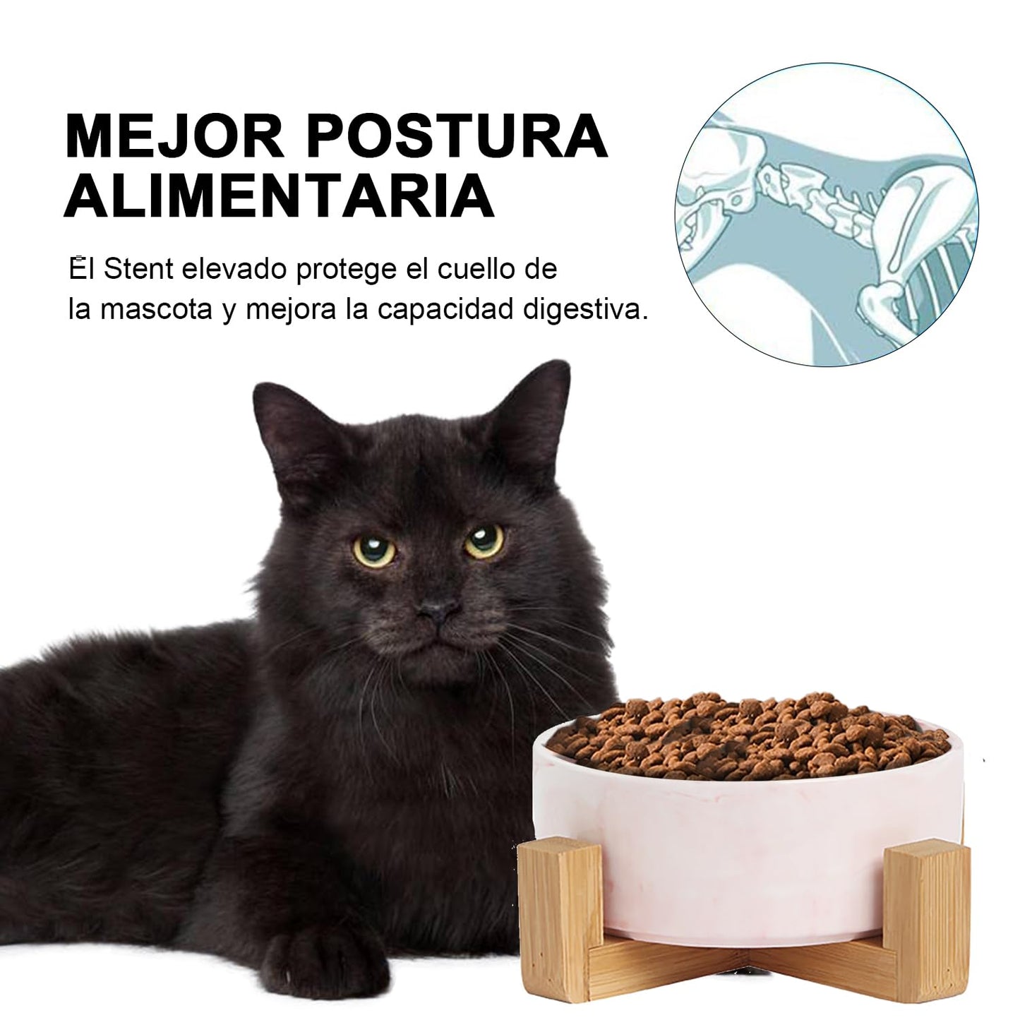 CHENGBAO Plato para Perro y Gato de Cerámica Marmolizada con Base de Estabilizadora (Rosa 1)