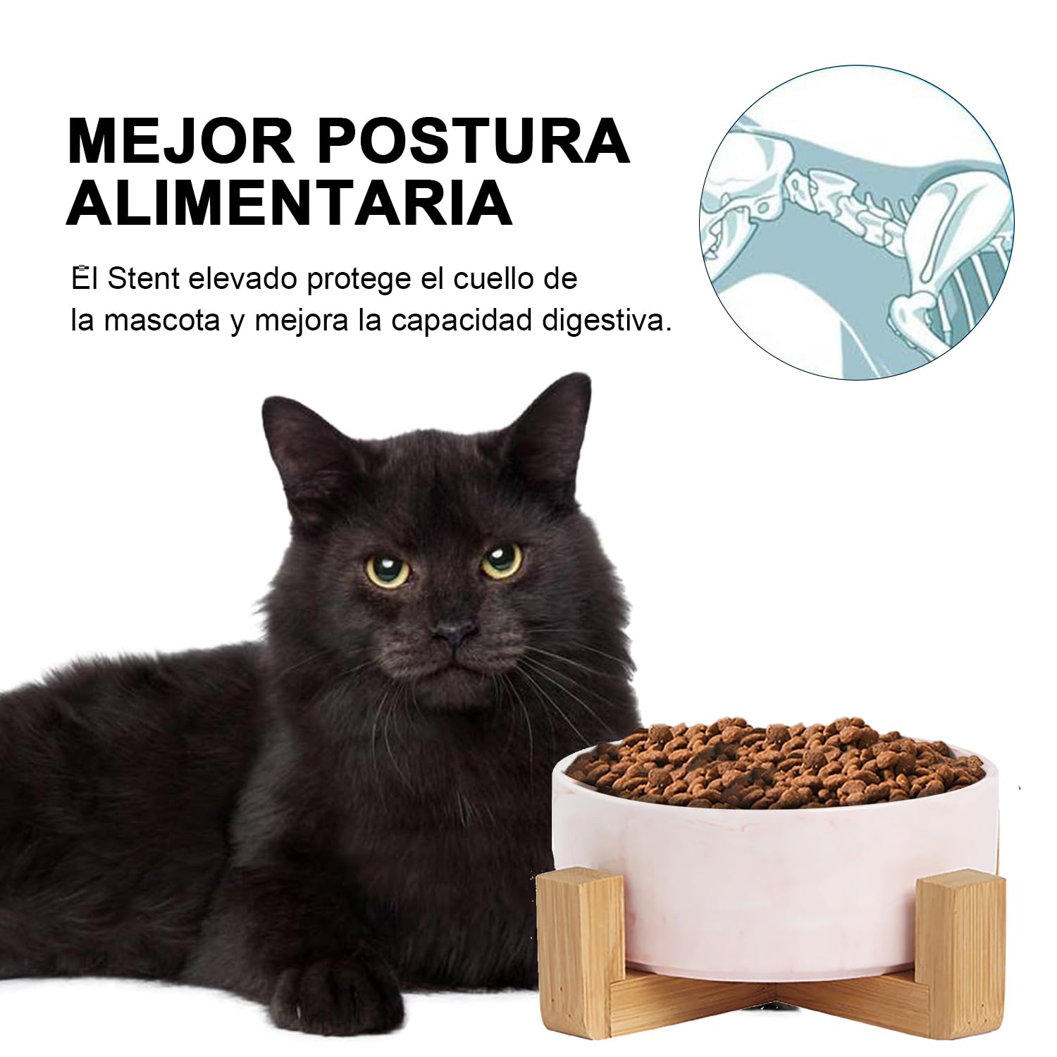 CHENGBAO Plato para Perro y Gato de Cerámica Marmolizada con Base de Estabilizadora (Rosa 1)