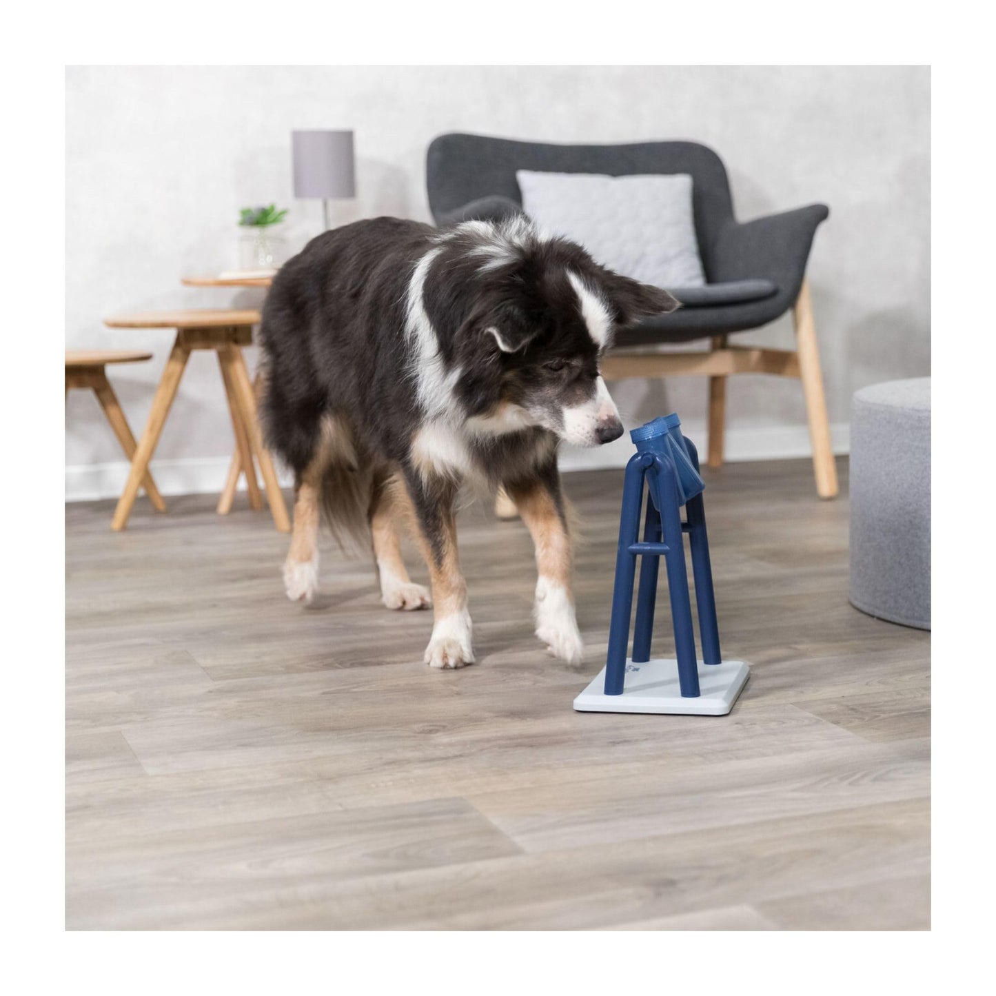 Juego Interactivo Trixie Mad Scientist para Perros Nivel 2