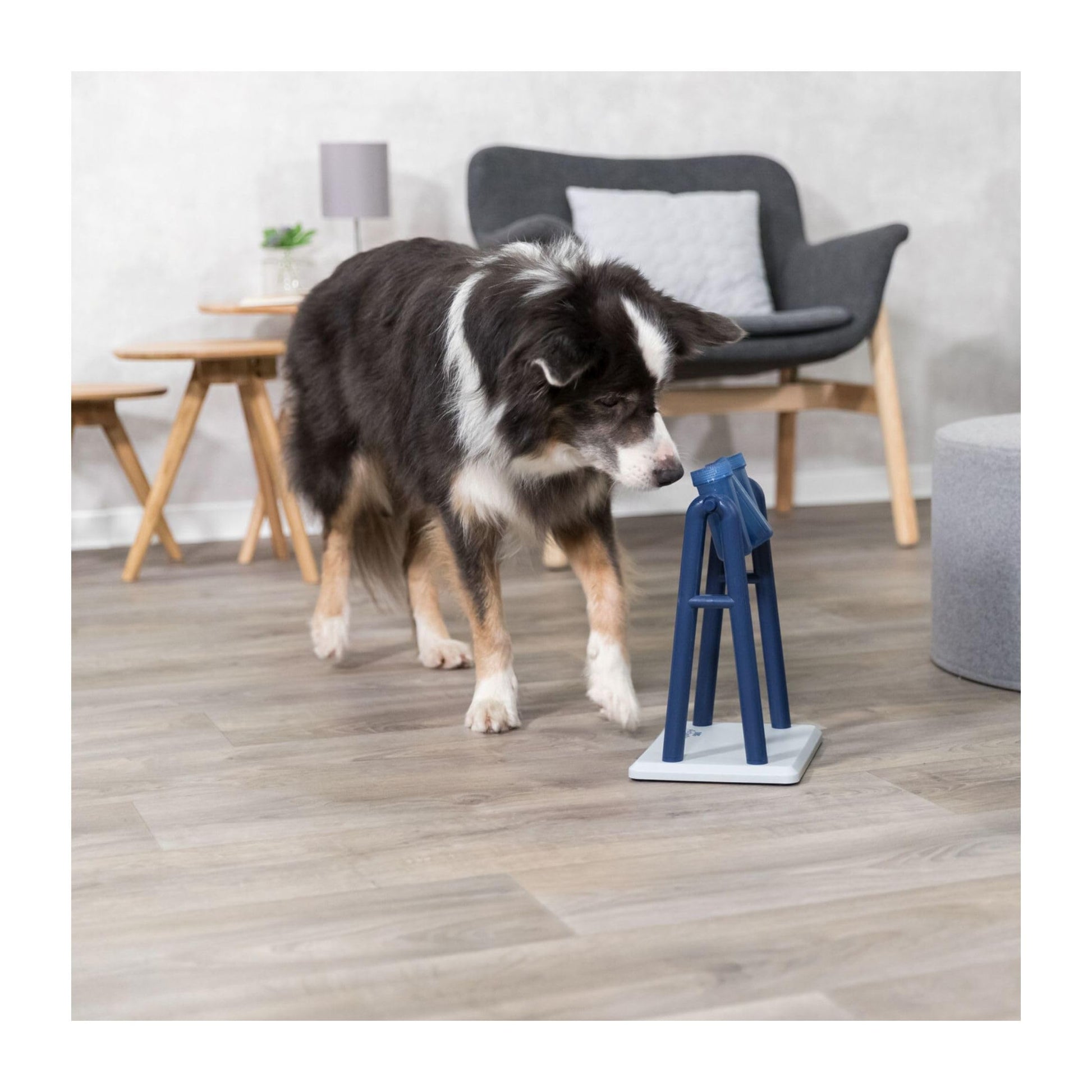 Juego Interactivo Trixie Mad Scientist para Perros Nivel 2