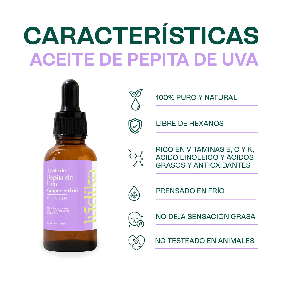 HEBBE | Aceite De Pepita De Uva 100 Ml | Antiedad Nutritivo Y Revitalizante | Rico En Antioxidantes | Ligero Y Ligeramente Astringente | Excelente Para Masajes