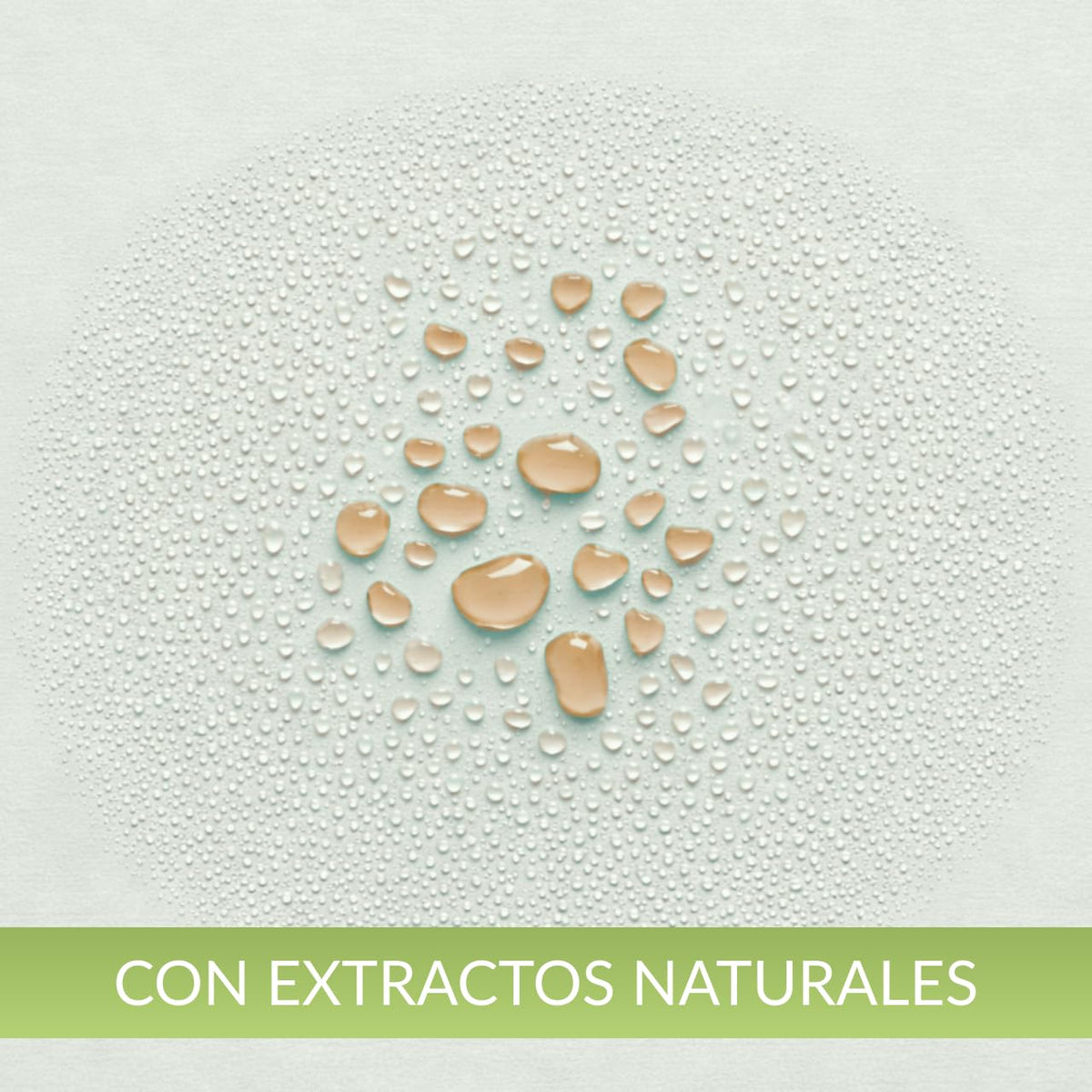 Tónico Capilar Productos Mart Mexico Jojoba Antioxidante 5 Litros