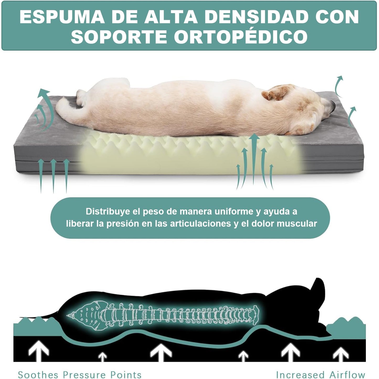 Cama Ortopédica Muja Grandes Doble Cara Inferior Antideslizante para Perro