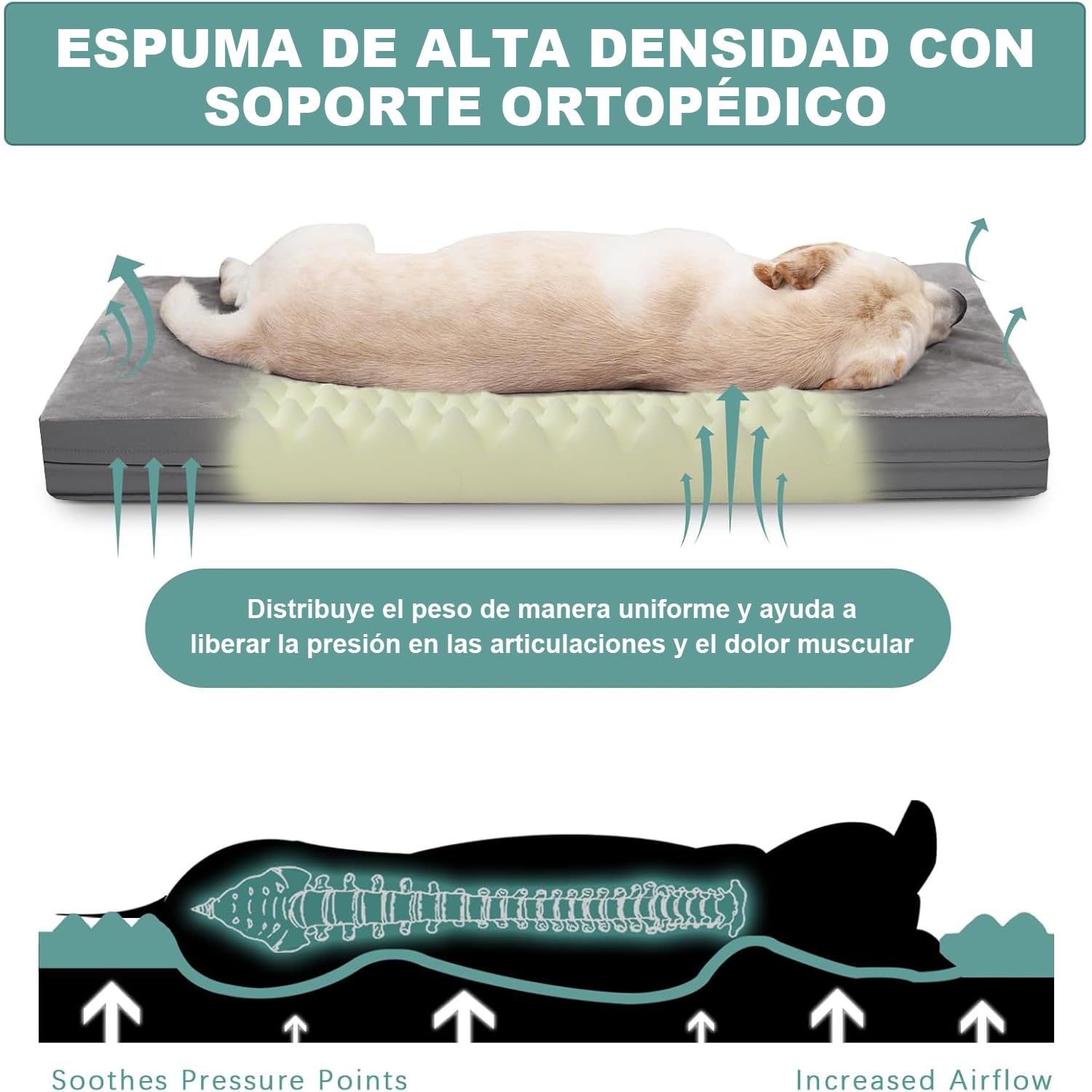 Cama Ortopédica Muja Grandes Doble Cara Inferior Antideslizante para Perro