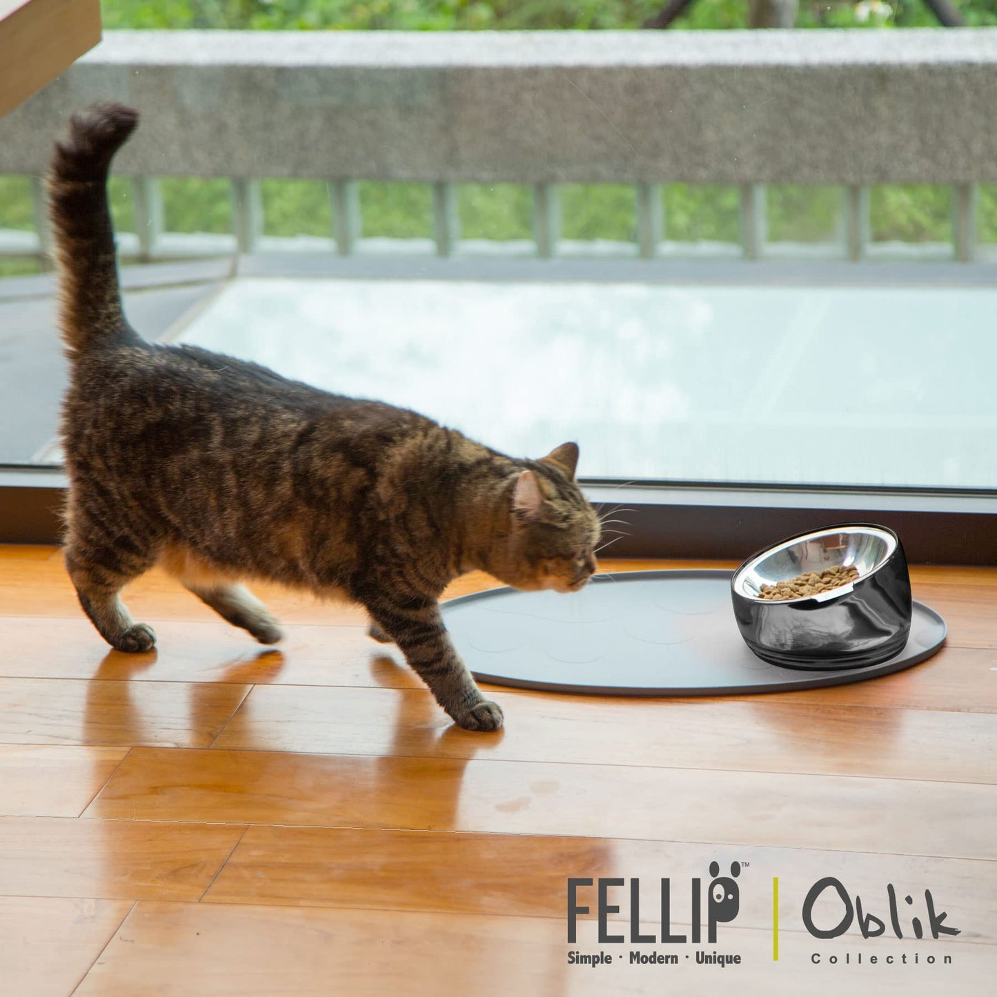 Felli Cuenco elevado para gatos de acero inoxidable inclinado para aliviar la fatiga de los bigotes de mascotas, poco profundo para gatos persas, exóticos, de pelo corto, de cara plana, antideslizante, alimentador para gatos (0.5 tazas, cuarzo ahumado)
