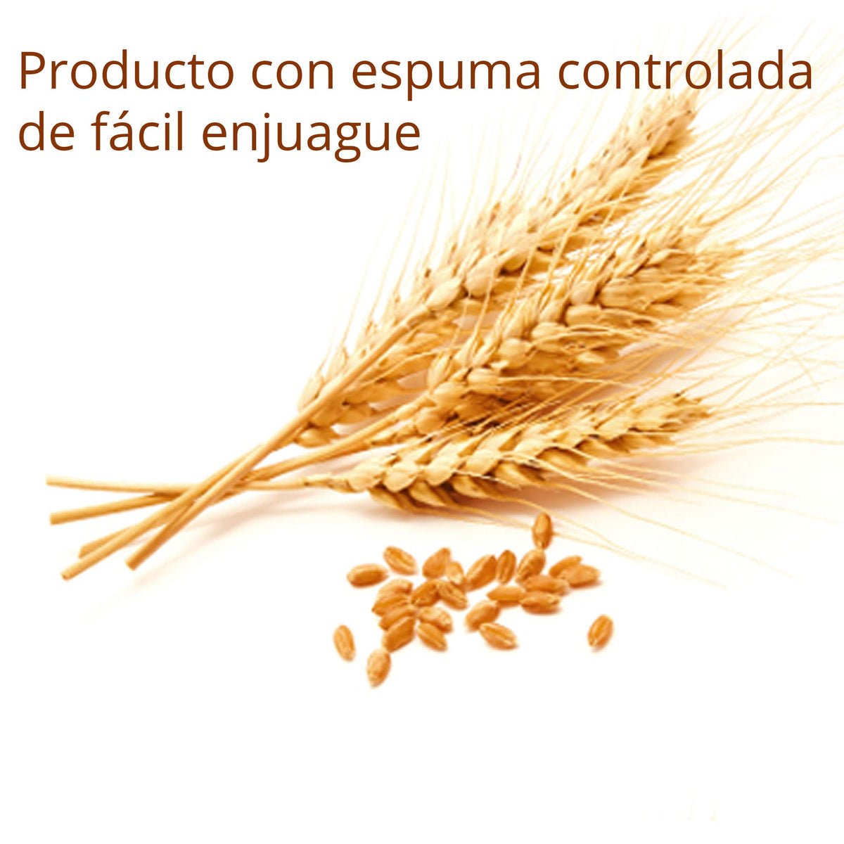 HAND SOAP 10 Lts | Jabón Líquido de Manos Biodegradable sin Parabenos Fosfatos y Colorantes | Jabón Grado Cosmético con Emolientes y humectantes con Aceite Esencial de Germen de Trigo