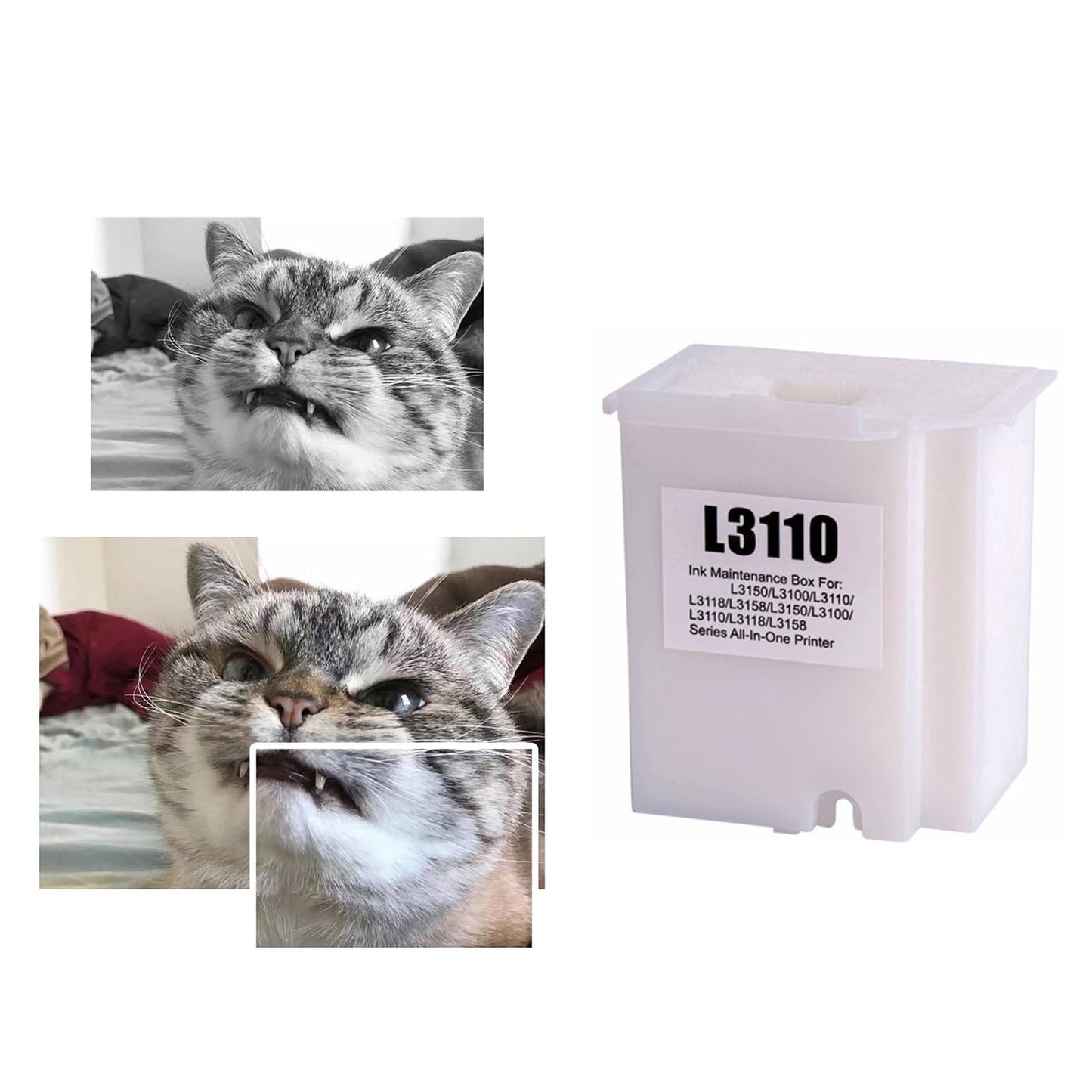 Paquete de Almohadillas de Depósito de Tinta Absorbente para Caja de Mantenimiento Epson Blanca