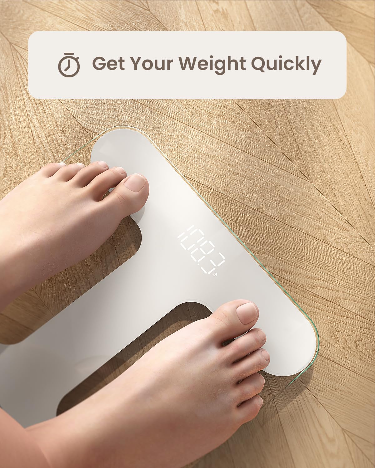 Báscula Corporal RENPHO LED Brillante Precisa hasta 0.01 Libras 400 lbs/180 kg