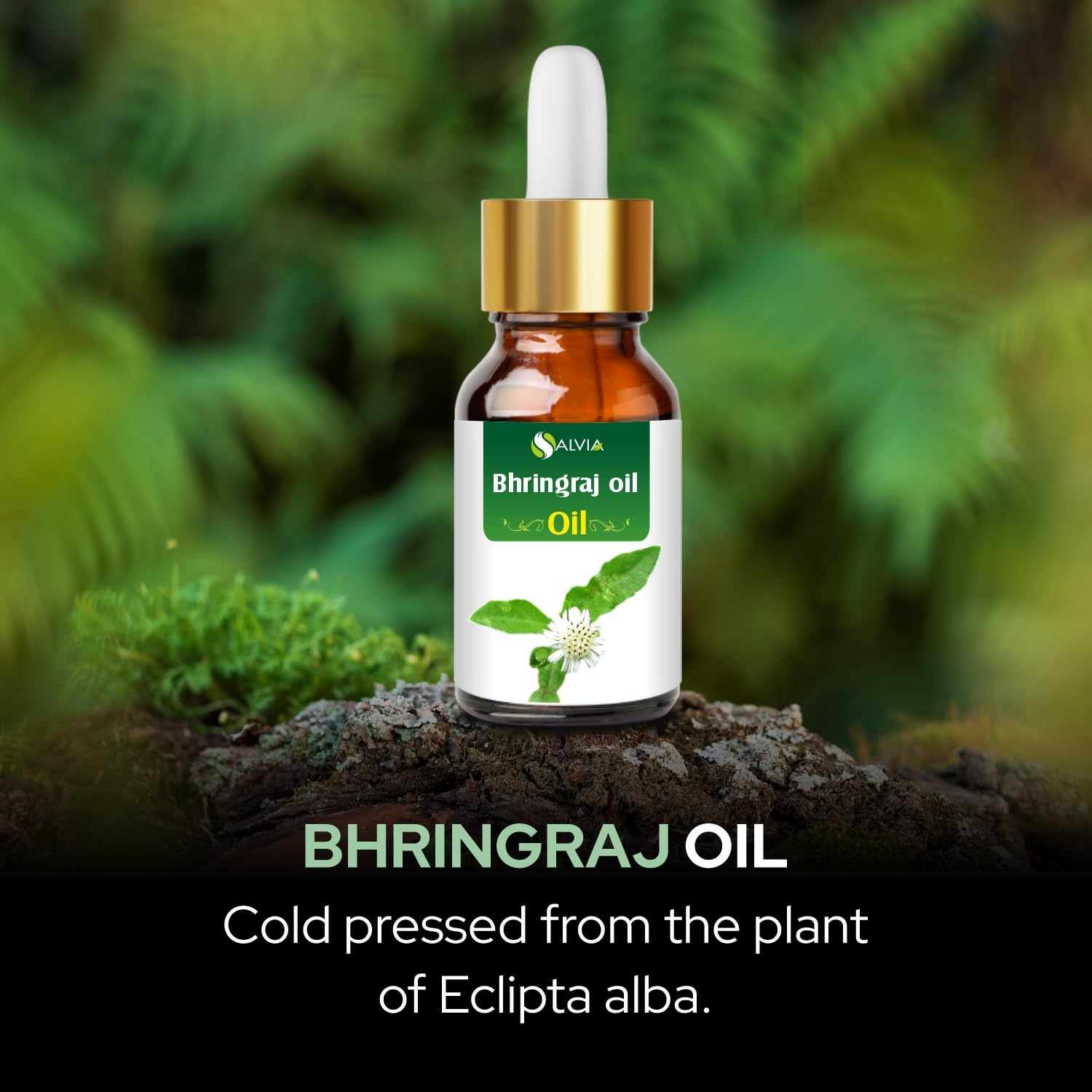 Salvia Bhringraj (Eclipta alba) Oil - 1.69 Fl Oz / 50ml