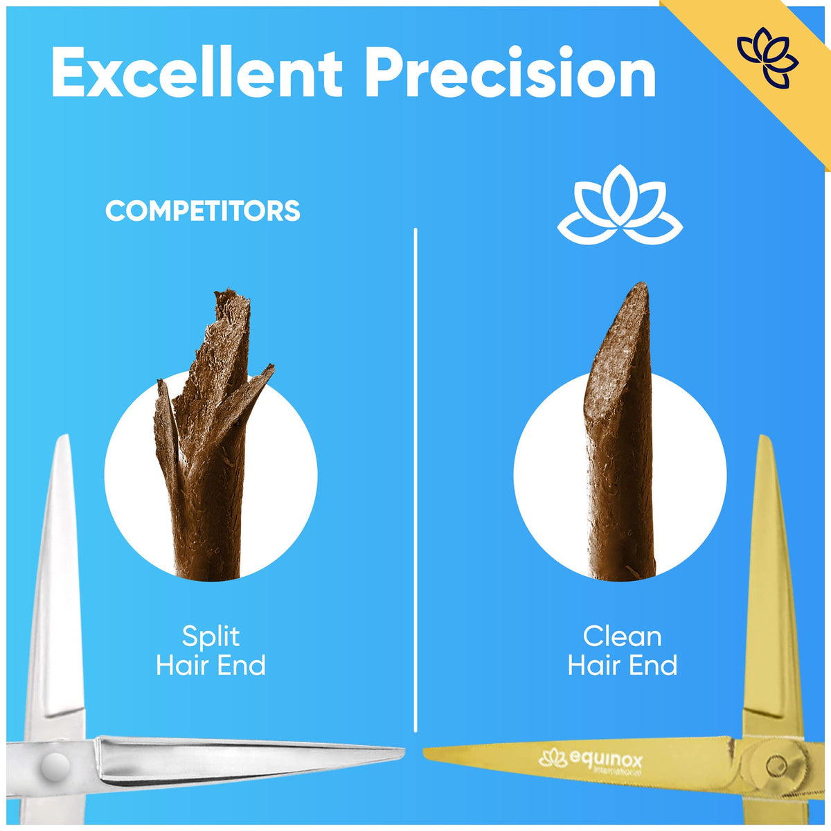Equinox Professional Razor Edge Series - Tijeras de corte de pelo de peluquero – Tijeras japonesas de acero inoxidable – Longitud total de 6.5 pulgadas – Tornillo de tensión de ajuste fino – Tijeras premium para corte de pelo