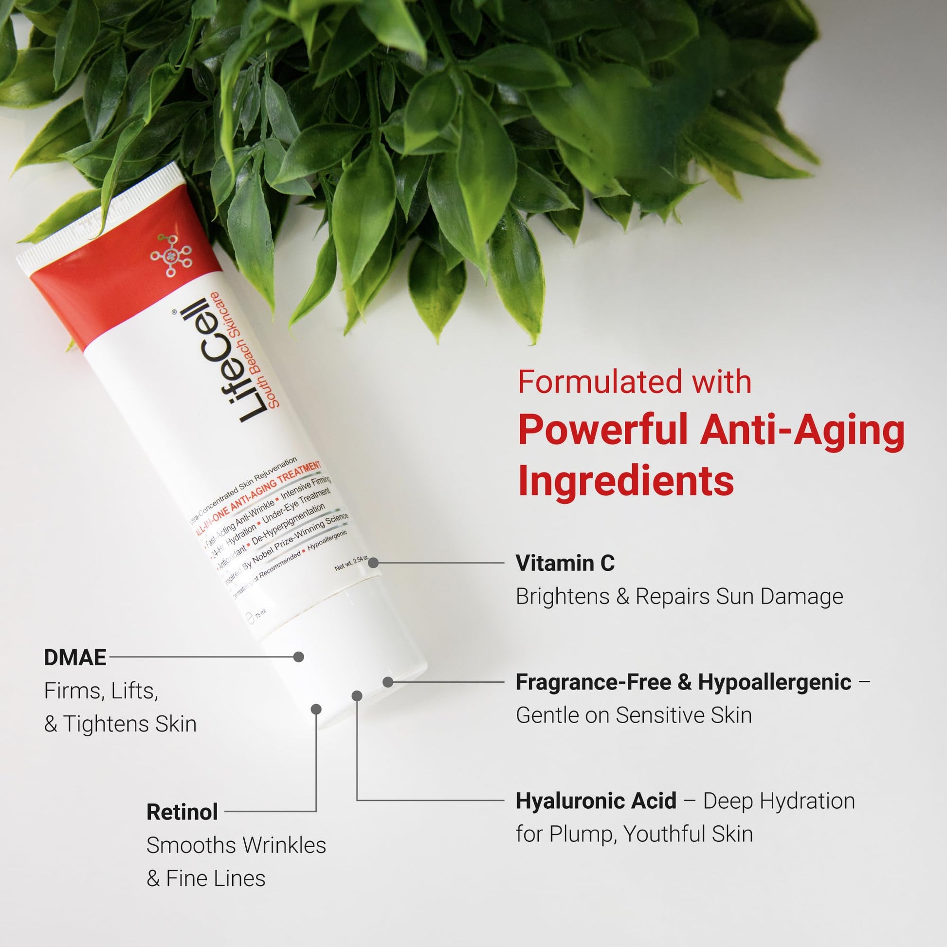 South Beach Skincare All In One Anti-Aging Treatment 2.54 oz