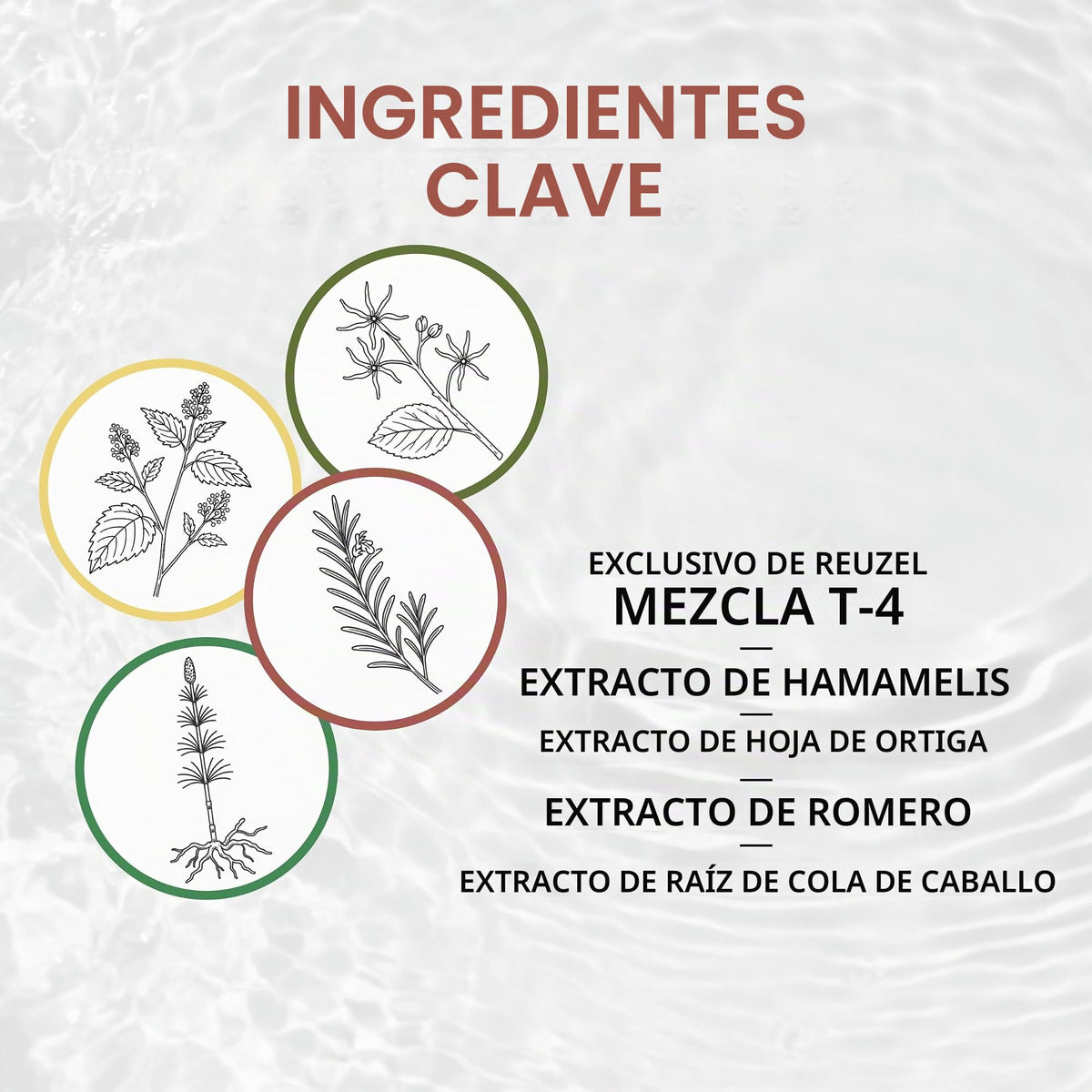 Reuzel shampoo de uso diario - Limpia el cabello y el cuero cabelludo- Ideal para todo tipo de cabello de uso frecuente - Limpia y desengrasa sin resecar - Formulado con mezcla de tónicos T4 - 350 ml