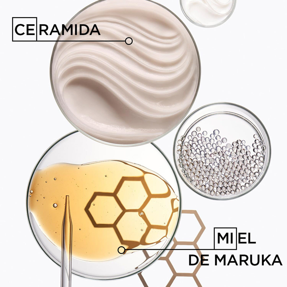 Kérastase Curl Manifesto Bain Hydratation Douceur, Shampoo para Cabello Rizado, con Miel de Manuka y Ceramida, 250 ml