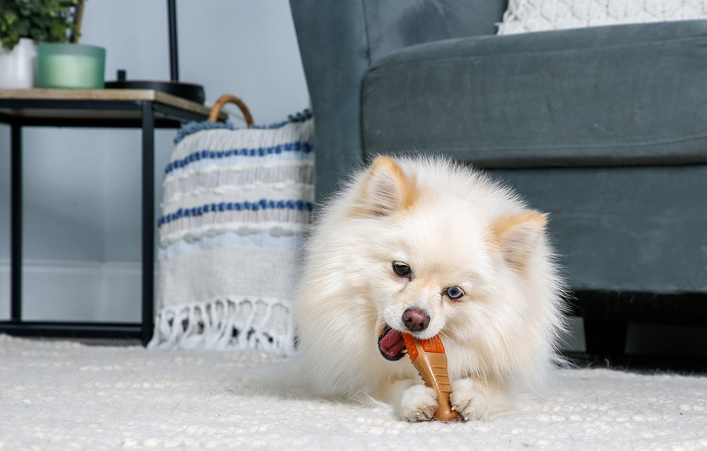 Hartz Chew 'n Clean Chew Toy and Treat en un baqueta de Pollo con Sabor a Barra, pequeño