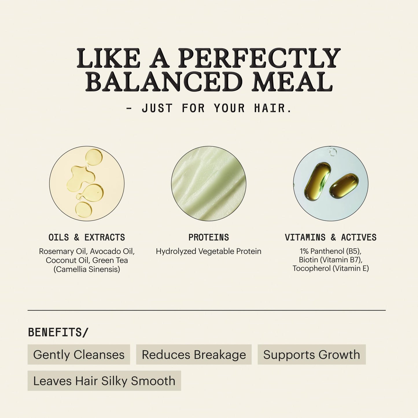 Shampoo Remilia Hair Natural Aceite de Romero para Cabello Dañado y Seco