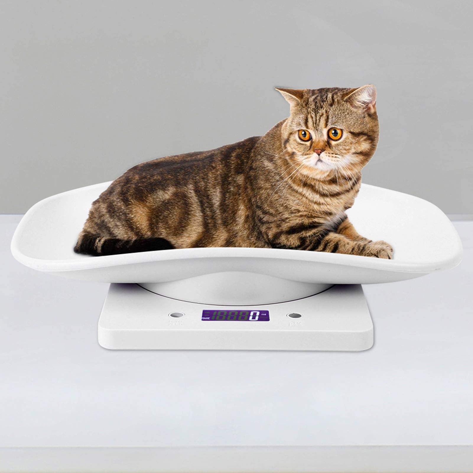 Báscula multifunción para bebés - Báscula digital de peso para mascotas pequeñas de 10 kg / 1 g con g/ml/oz/lb.oz para medir bebés/mascotas, color blanco