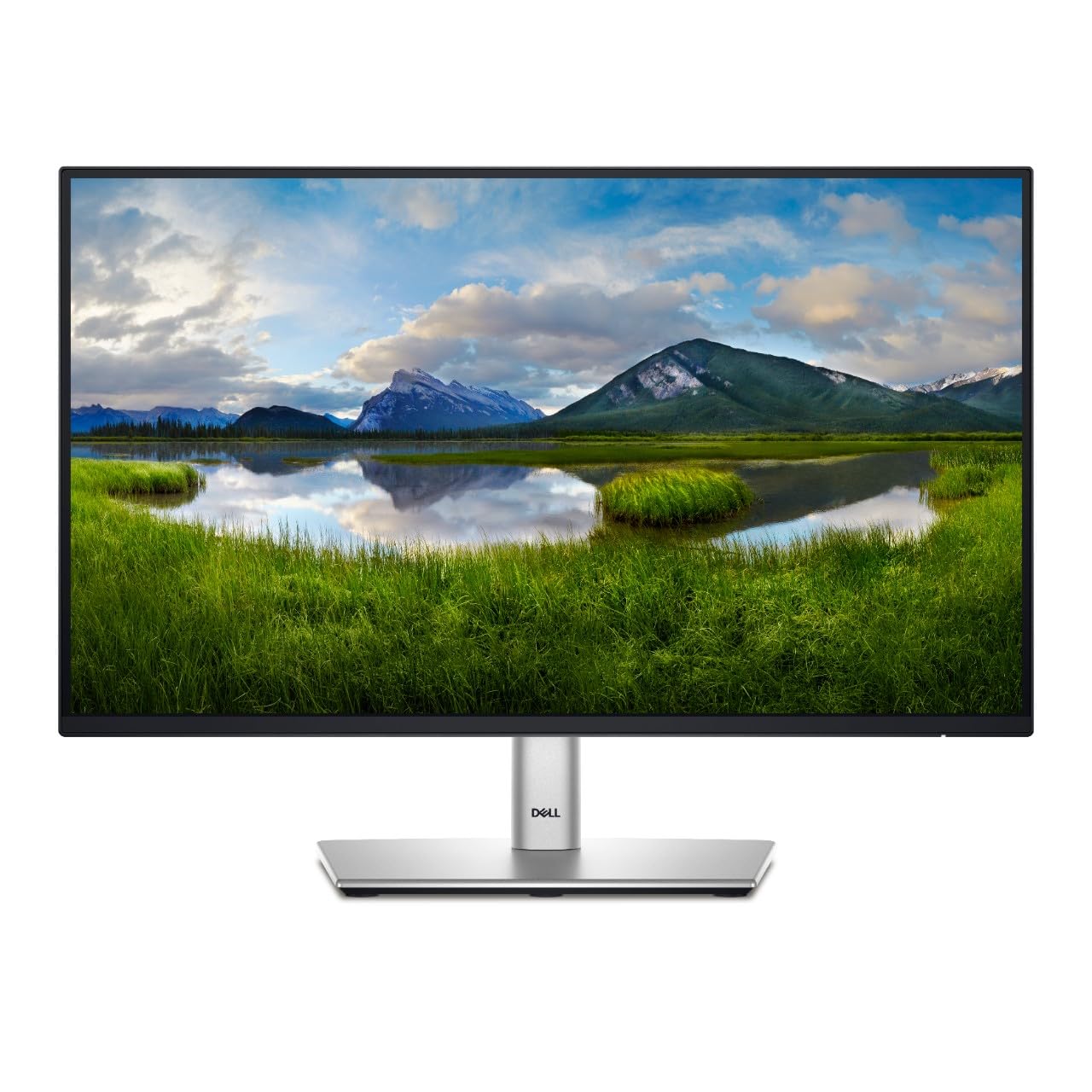 Dell 23,8 Monitor P2425H