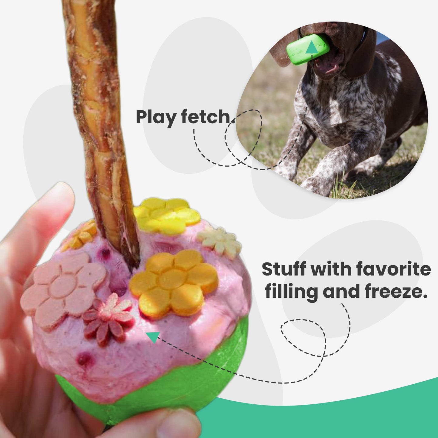 Bully Stick Holder - Soporte para Palo, tamaño pequeño, Juguete Interactivo para Perro y Dispositivo de Seguridad